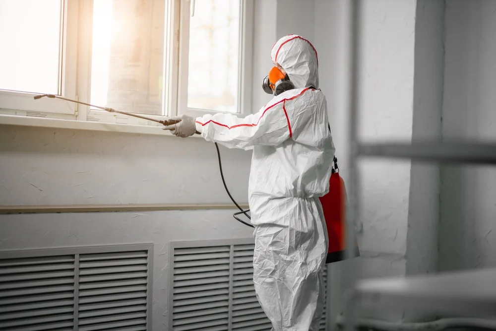 Professional mold remediation services in Clinton, NJ